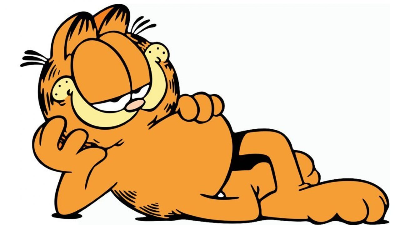 Qué raza es Garfield? | National Geographic en Español