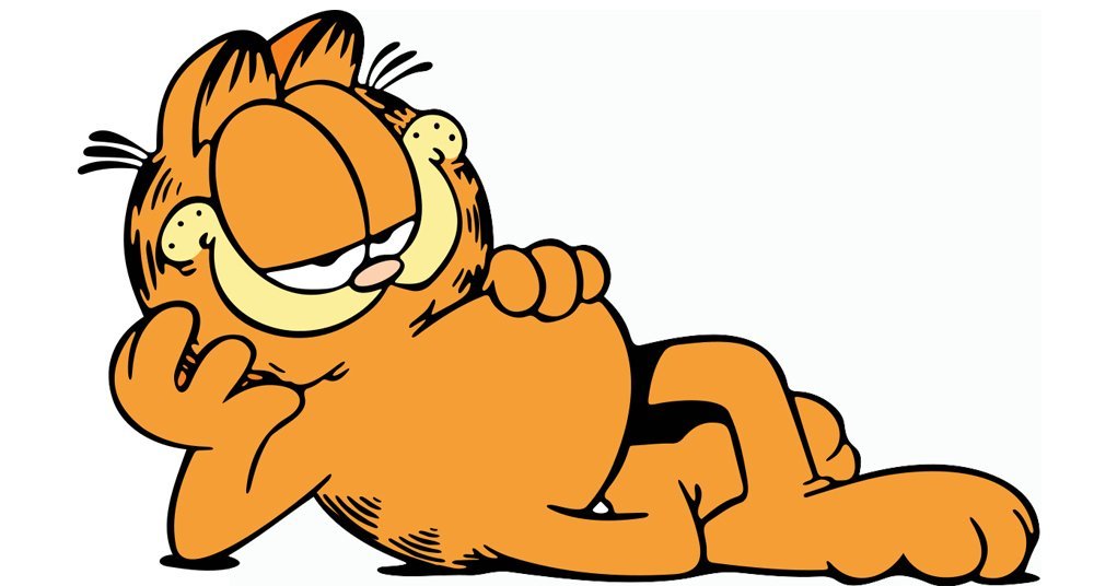 Qué raza es Garfield? - National Geographic en Español