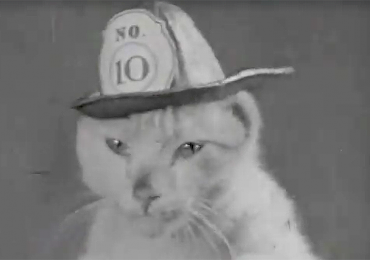 Conoce al increíble gato bombero de 1936