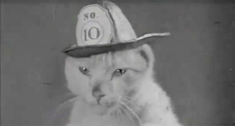 Conoce al increíble gato bombero de 1936