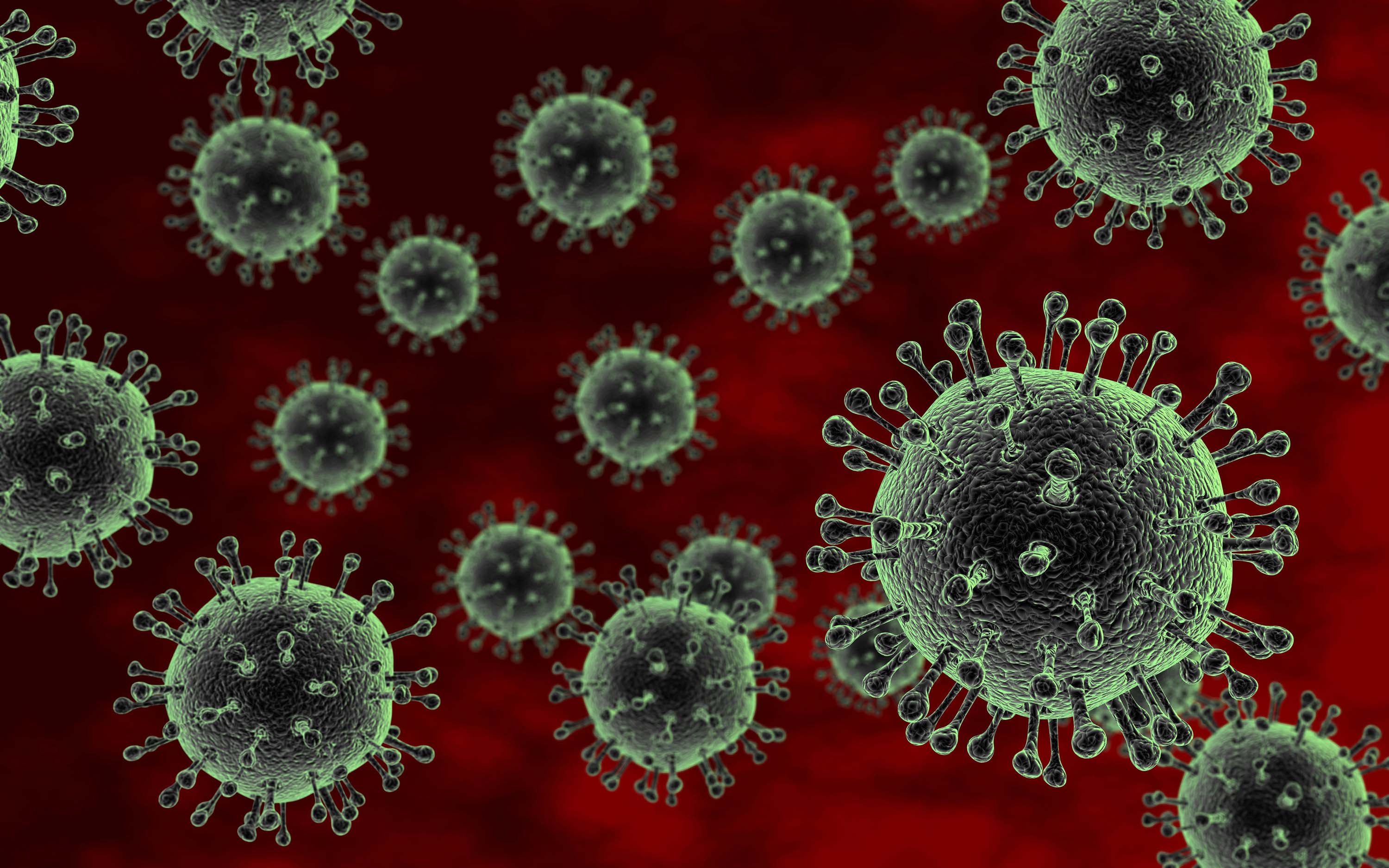 Crean nueva especie de virus de gripe aviar