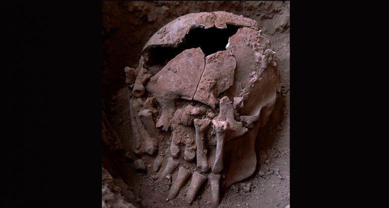 Descubren la cabeza decapitada más antigua del Nuevo Mundo