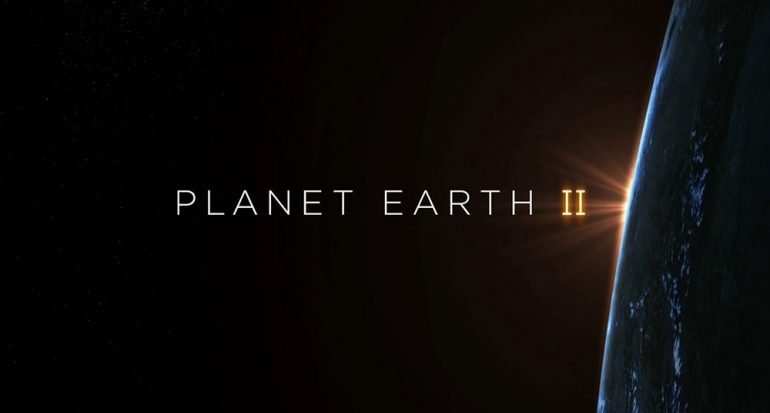 Disfruta de 40 horas inéditas del documental Planet Earth II