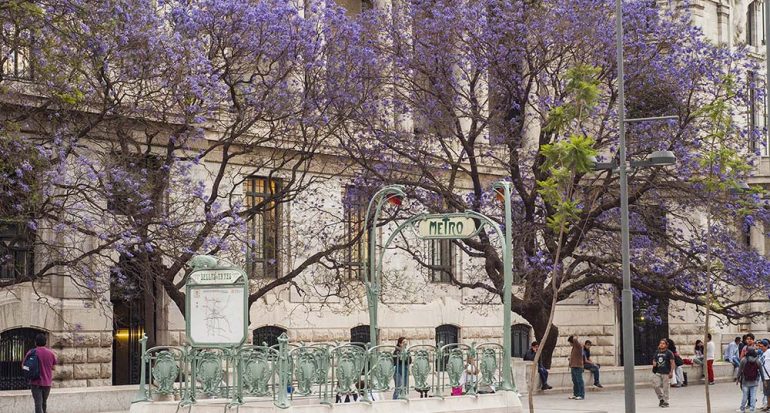 El color lila pinta la Ciudad de México