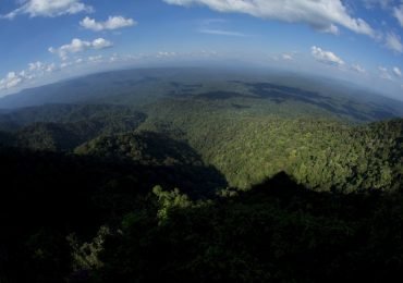 El esfuerzo por redefinir los bosques de Perú