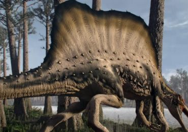 El primer dinosaurio semiacuático