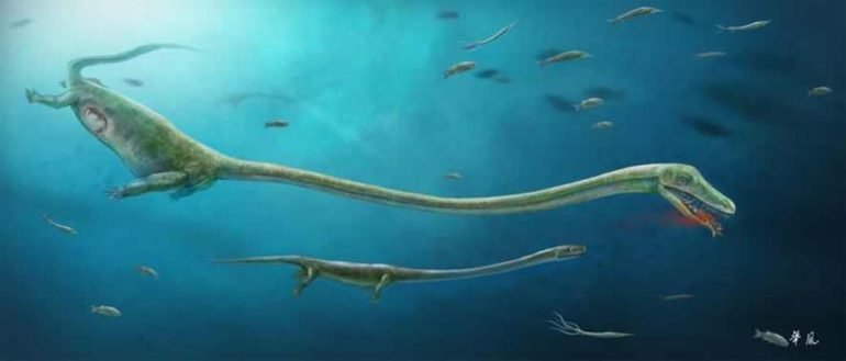 Encuentran un fósil de reptil marino ?embarazado?