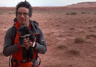 Exploradores salvan a un cachorro abandonado