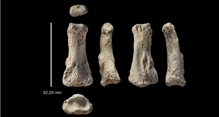 Hallan al Homo Sapiens más antiguo fuera de África de más de 85
