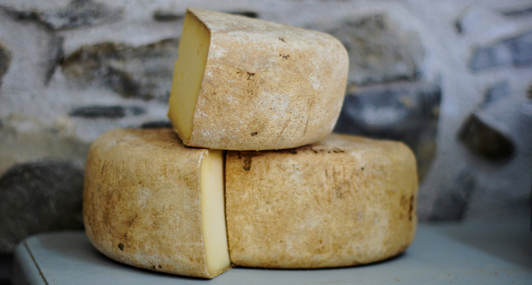 Hallan el queso más antiguo de la historia en una tumba en Egipto