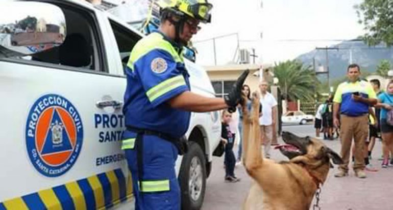 Héroes caninos: Conoce a los perros rescatistas de México