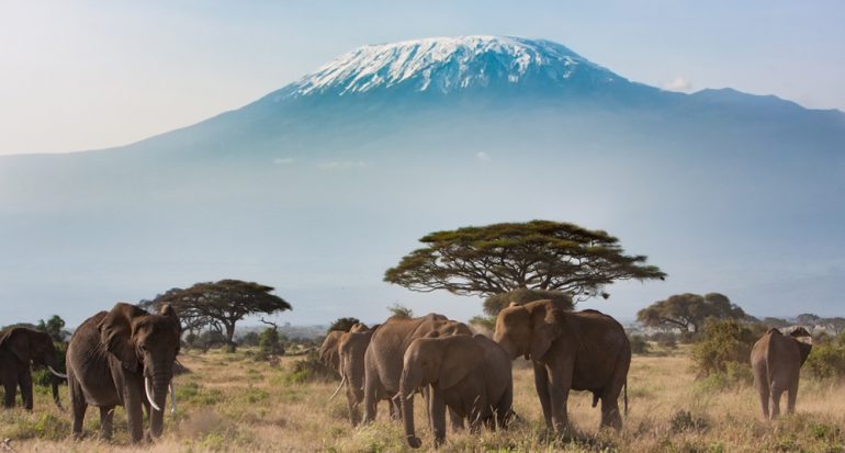 Kenia pone de oferta las entradas a los parques nacionales