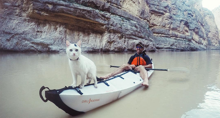 Les presentamos al gato viajero que conquistó Instagram