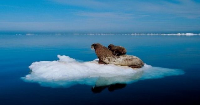 Récord en el Ártico