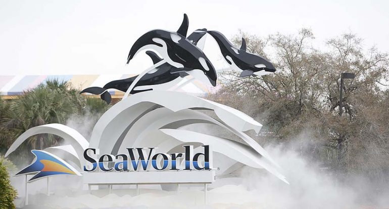 SeaWorld terminará sus espectáculos de orcas en 2019