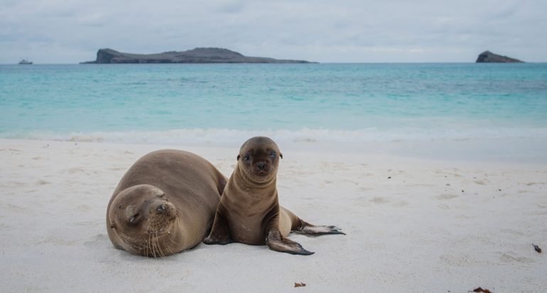 Séptimo día en las Islas Galápagos