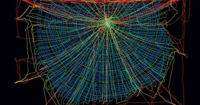Telaraña | La red más ancha del mundo