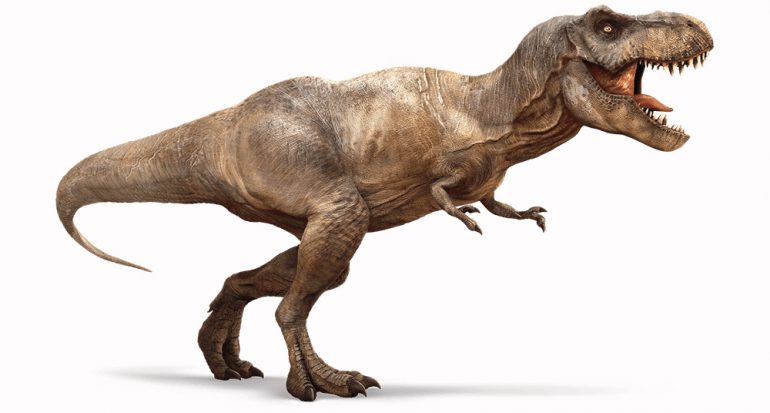 ¿Cuál es el descendiente vivo más cercano del Tyrannosaurus rex?