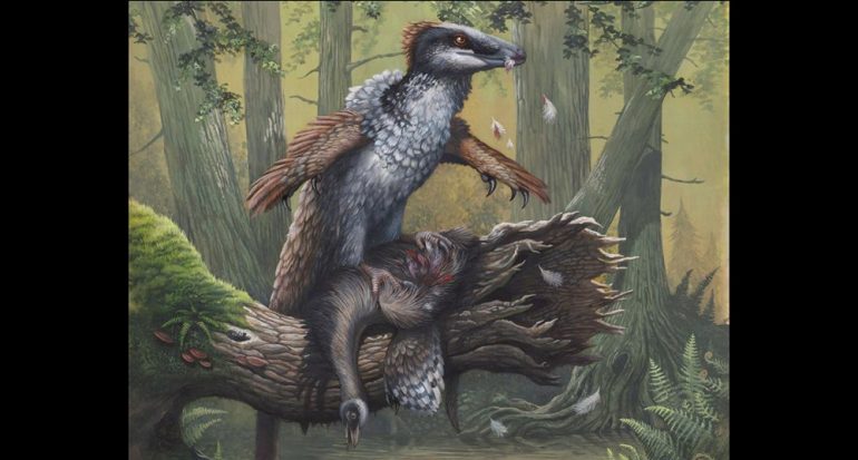 ¿Dakotaraptor de verdad enfrentó a Tyrannosaurus?