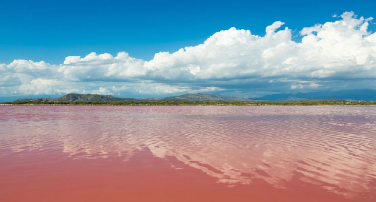¿Existe un lago rosa?
