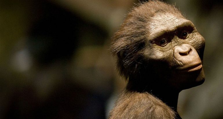 ¿Por qué la Australopithecus Lucy se llama así?