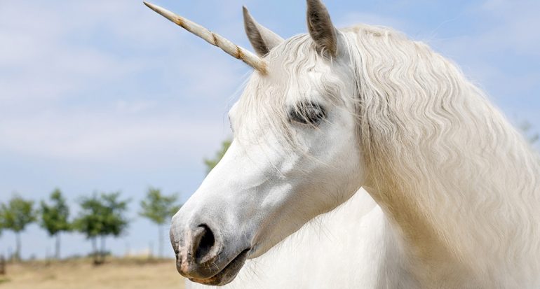 ¿Sabias qué en una región de un país el unicornio es su animal oficial?