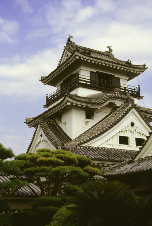 castelo de kochi