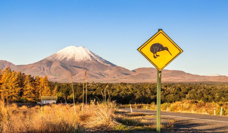 Supervolcán en Nueva Zelanda recupera actividad