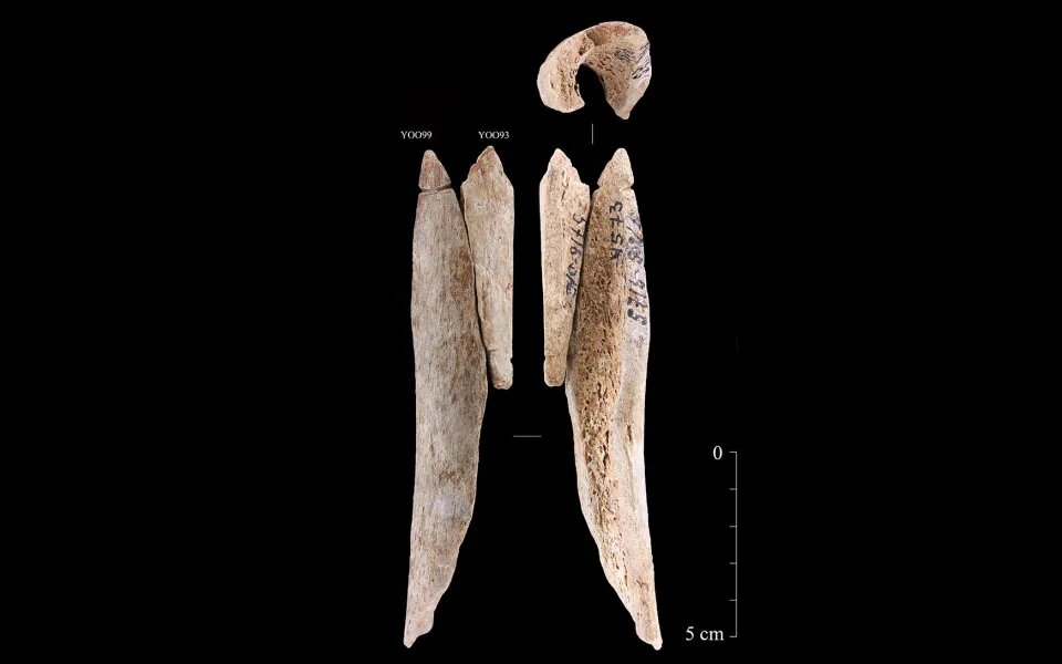 aretes huesos humanos