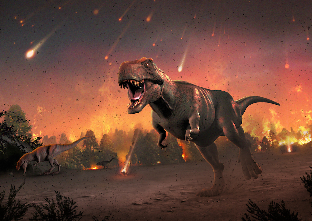 Así fue el periodo Cretácico: la era en la el cambio climático acabó con el  dominio de los dinosaurios | National Geographic en Español