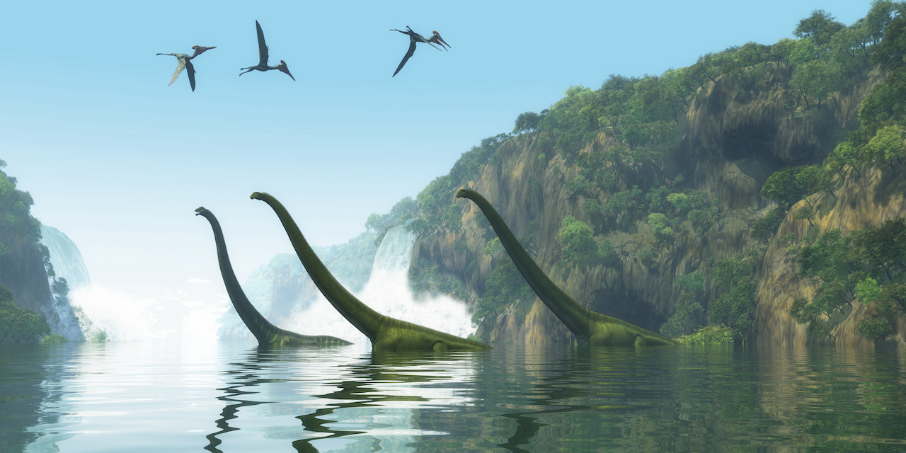 Dinosaurios nadadores de 17 metros de largo dominaron la Antártida hace 145  millones de años | National Geographic en Español