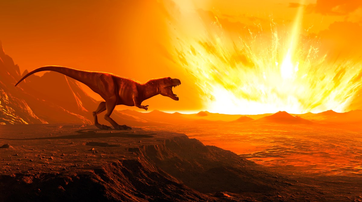 El reino de los dinosaurios inició después de las heladas de una extinción  masiva | National Geographic en Español