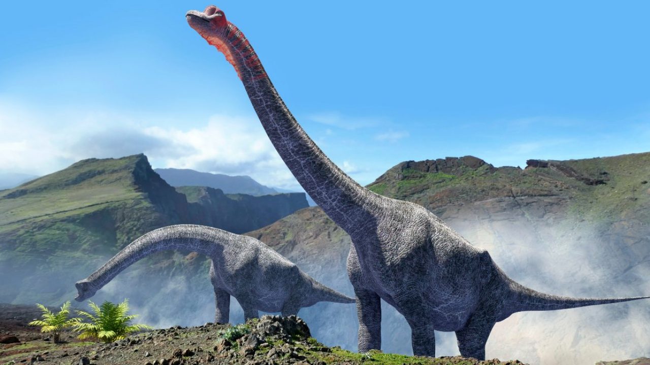 El reino de los dinosaurios inició después de las heladas de una extinción  masiva | National Geographic en Español