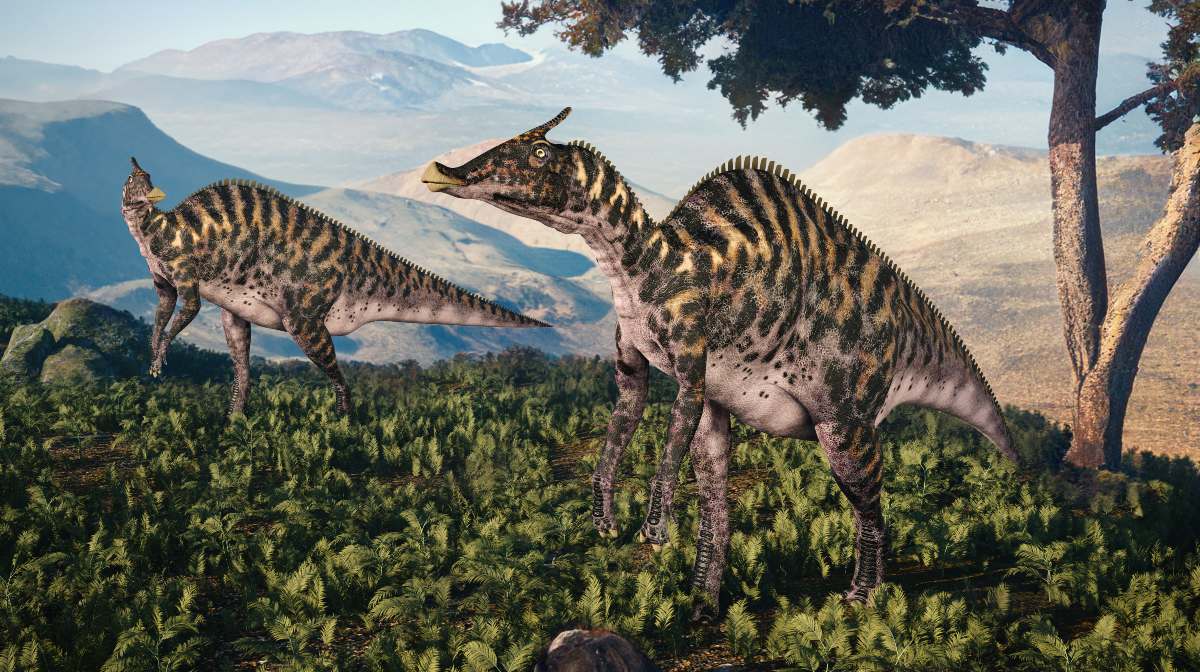 La extinción de los dinosaurios comenzó mucho antes de que el astroide  impactara la Tierra, sugiere estudio | National Geographic en Español