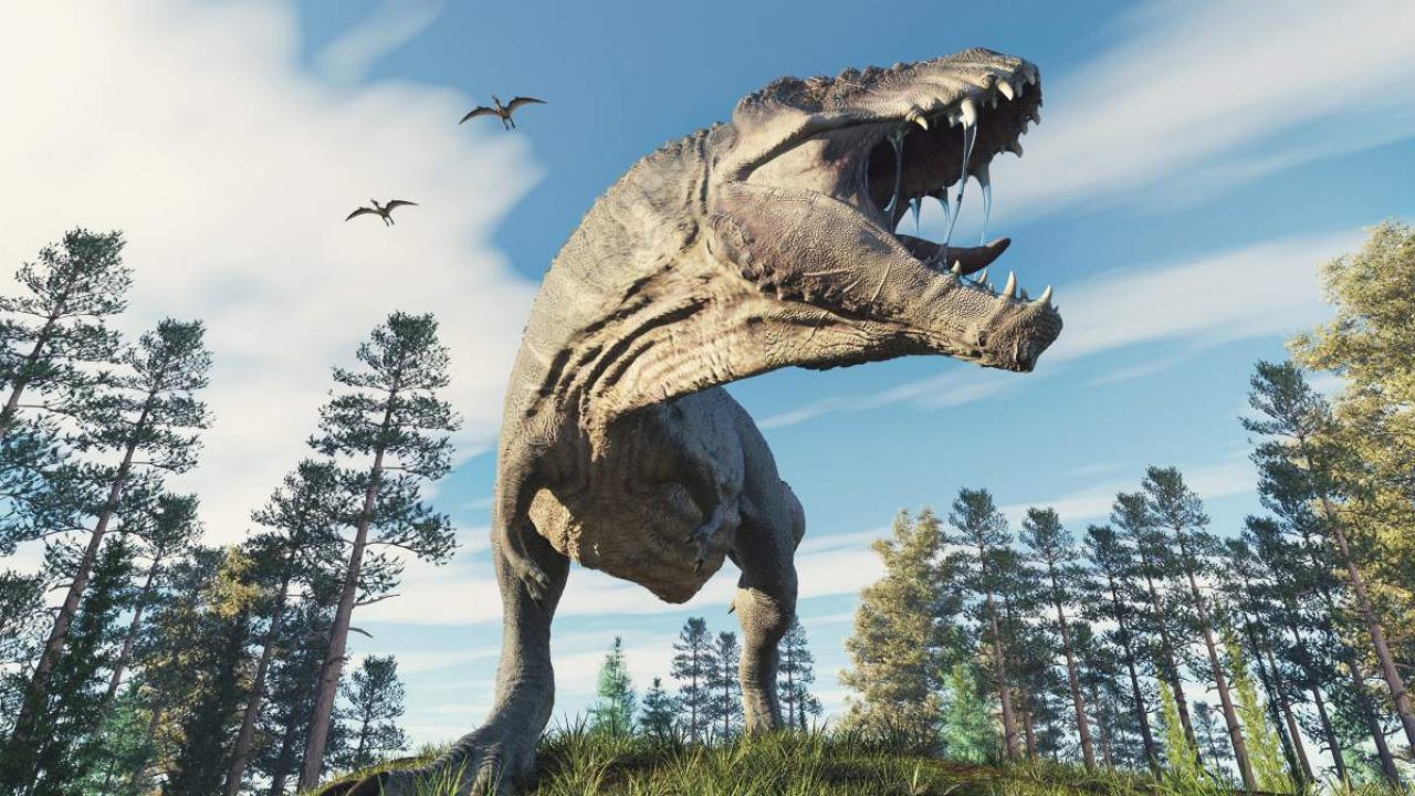 La extinción de los dinosaurios comenzó mucho antes de que el astroide  impactara la Tierra, sugiere estudio | National Geographic en Español