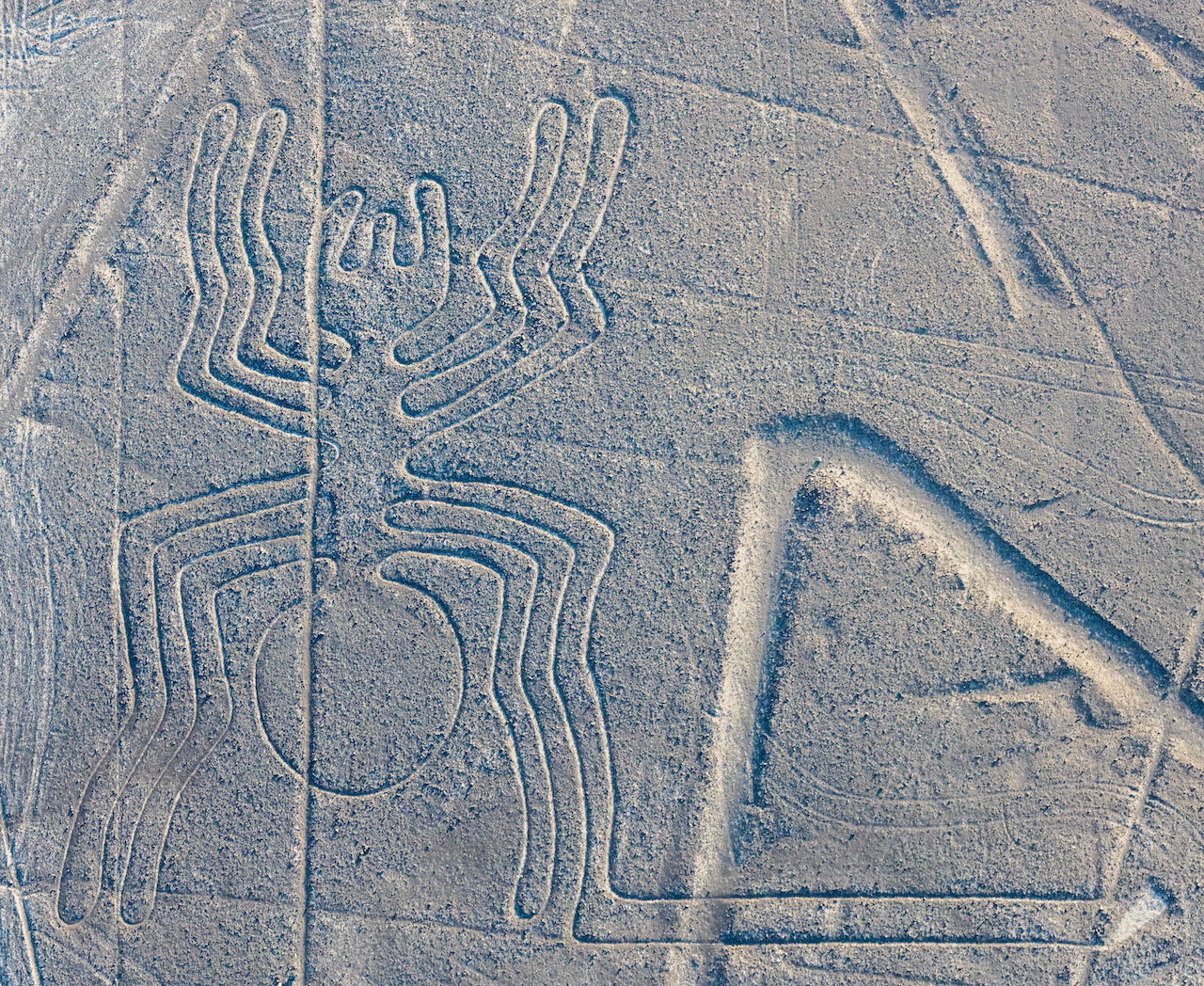 Así son las Líneas de Nazca: los misteriosos glifos que quedaron impresos  en el desierto peruano hace 1,700 años | National Geographic en Español