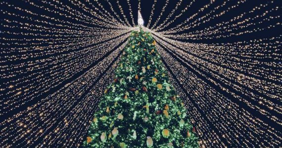 Origen del árbol de Navidad