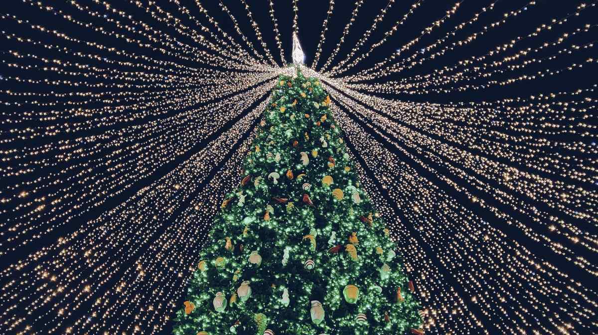 Residente Analista telegrama Cuál es el origen del árbol de Navidad y cómo se hizo una tradición?