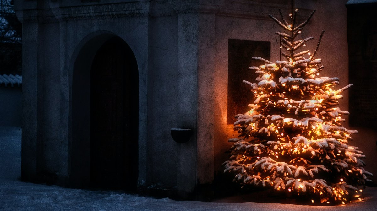 Origen del árbol de Navidad