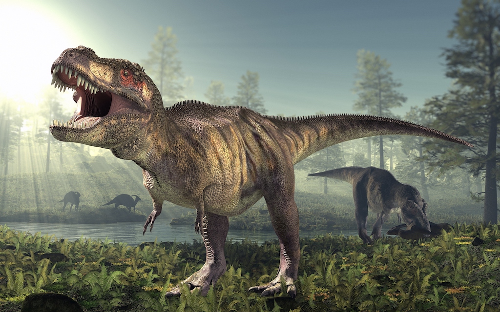 Can dinosaurs be brought back to life?