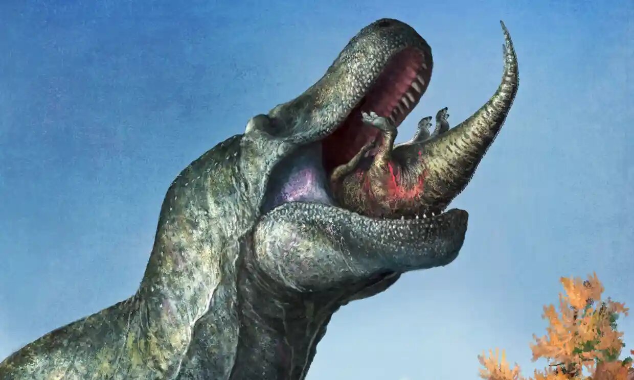 Los dientes de T Rex no estaban expuestos todo el tiempo