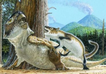 Epica pelea entre un mamífero y un dinosaurio