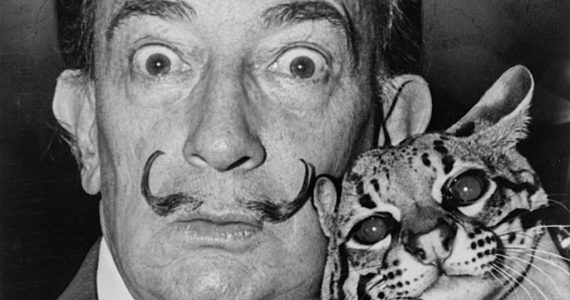 El gato de Salvador Dalí