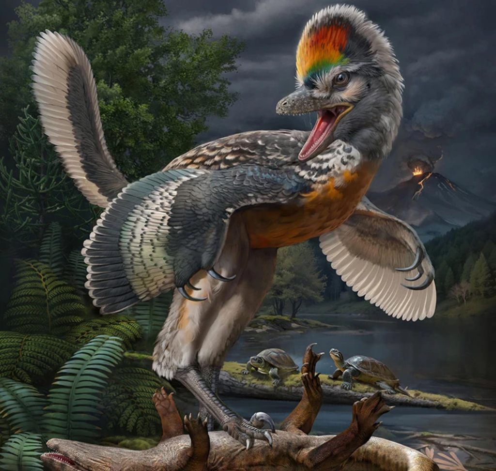Dinosaurio parecido a un pájaro descubierto cerca de Nanping en China