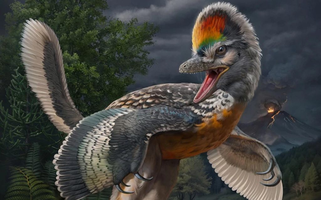 A dinosaur the size of a rooster could change the history of bird evolution