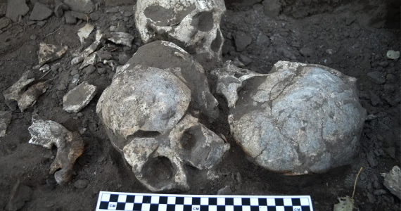 la-increible-decapitacion-masiva-en-china-durante-el-neolitico