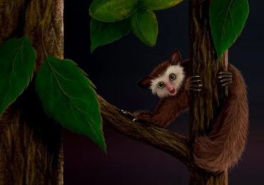 ekgmowechashala-hallan-nuevas-pistas-sobre-el-ultimo-primate-que-habito-america-antes-que-los-humanos