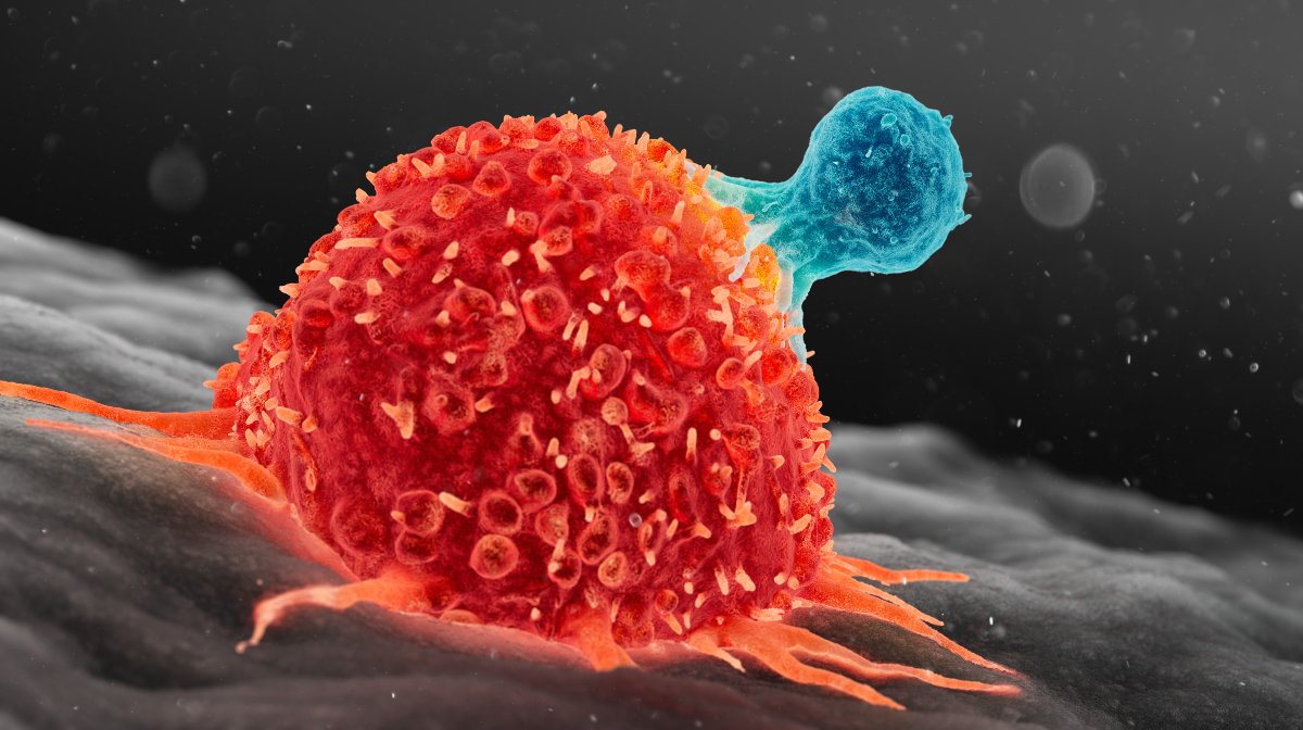 Células Cancerígenas. 