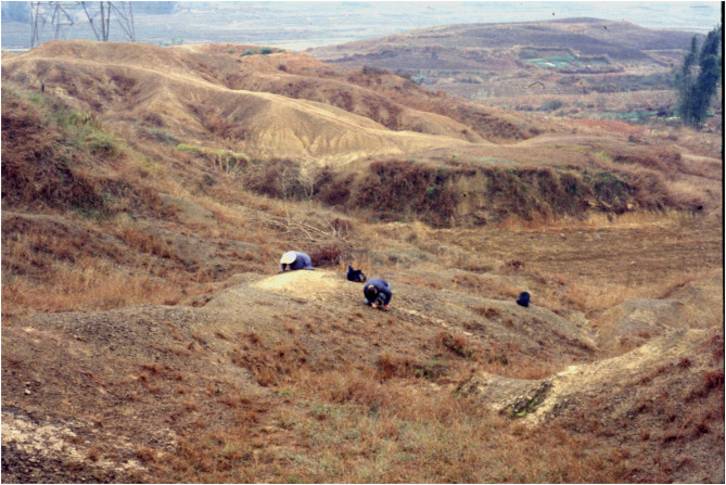 Palaeohodites naduensis cerca del pueblo de Quelin, Cuenca de Baise, Región Autónoma Zhuang de Guangxi, sur de China. La mayoría de los especímenes conocidos de P. naduensis, incluido el holotipo, fueron recuperados de la pequeña área entre los dos recolectores / Science Direct