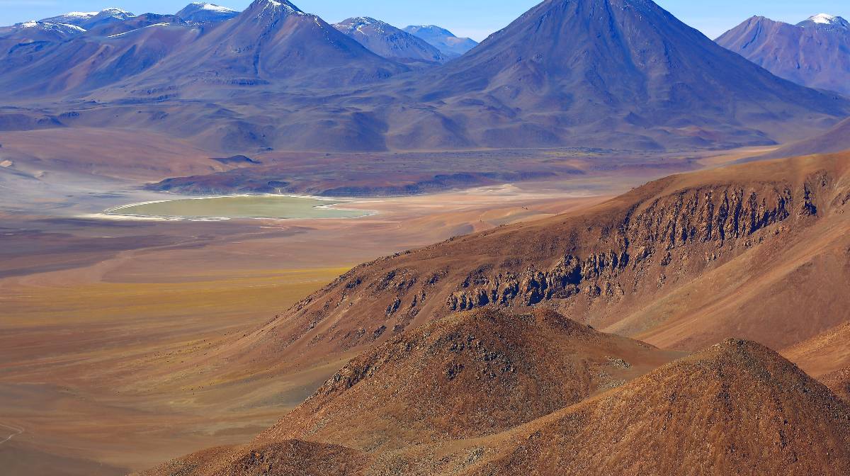 ecosistema de Atacama